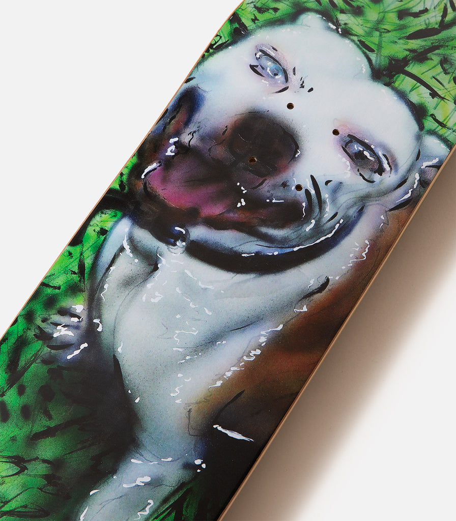 Snack Covarrubias Bruce Deck
